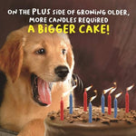 Virtual Safari Birthday Dog With Birthday Cake and Candles