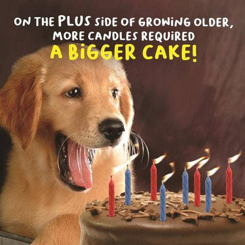 Virtual Safari Birthday Dog With Birthday Cake and Candles