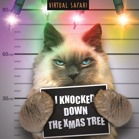 Virtual Safari, Mugshot, Open, Christmas Card