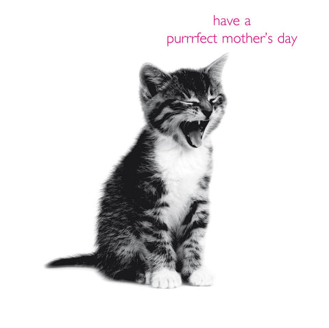In Black and White Purrrfect Mother's Day Card