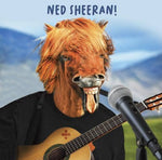 Virtual Safari Open Horse on Guitar