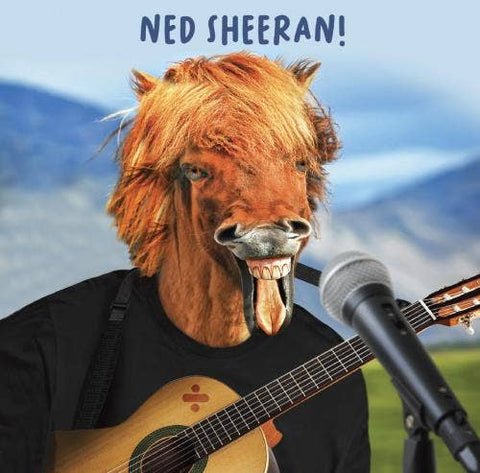 Virtual Safari Open Horse on Guitar