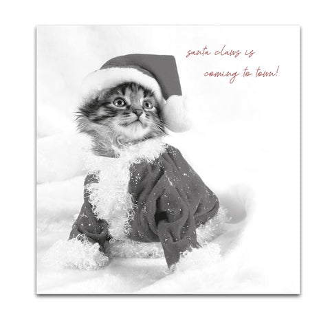 In Black & White, Santa Claws, Open, Christmas Card