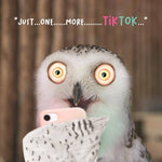 Virtual Safari Birthday Owl on Phone