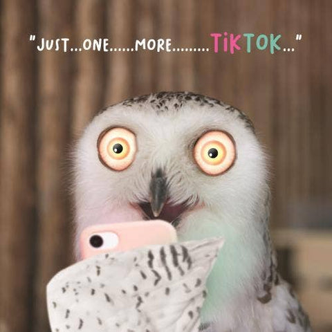 Virtual Safari Birthday Owl on Phone