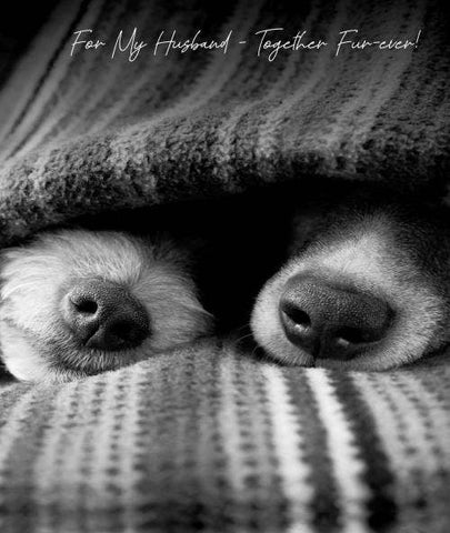In Black & White Husband Dogs Noses Poking From Blanket.