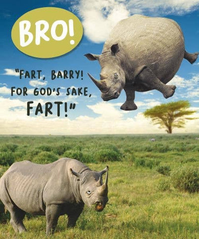 Fart Birthday Card Brother