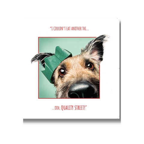 Emotional Rescue Christmas Card, Dog in Christmas Hat