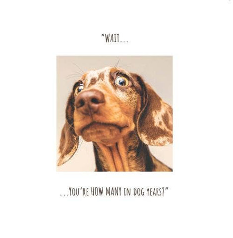 Click, Like & Share Birthday Card Dog Years