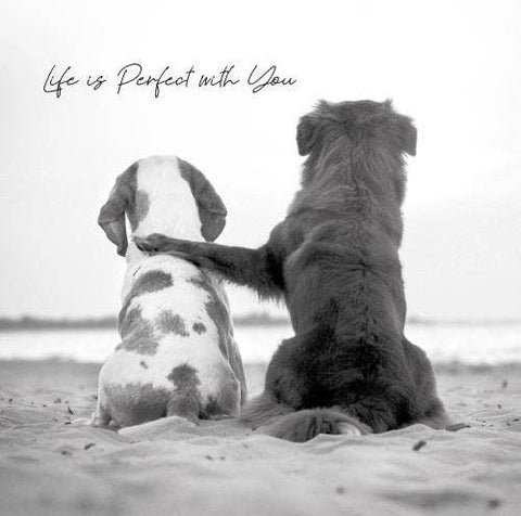 In Black & White Open Perfect