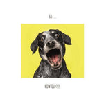 Click, Like & Share 60th Bday Card Wide Eyed Dog