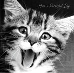 In Black & White Birthday Purrfect