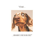 Click, Like & Share 40th Bday Card Dog Looking Surprised