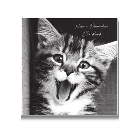 In Black & White Christmas Card, Have a Purrfect Christmas