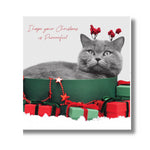 In Black & White, Cat with Christmas Presents, Open