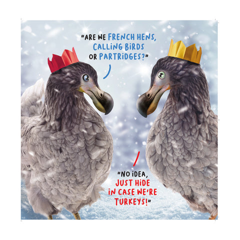 Virtual Safari Christmas Card, Dodos in Christmas Hats